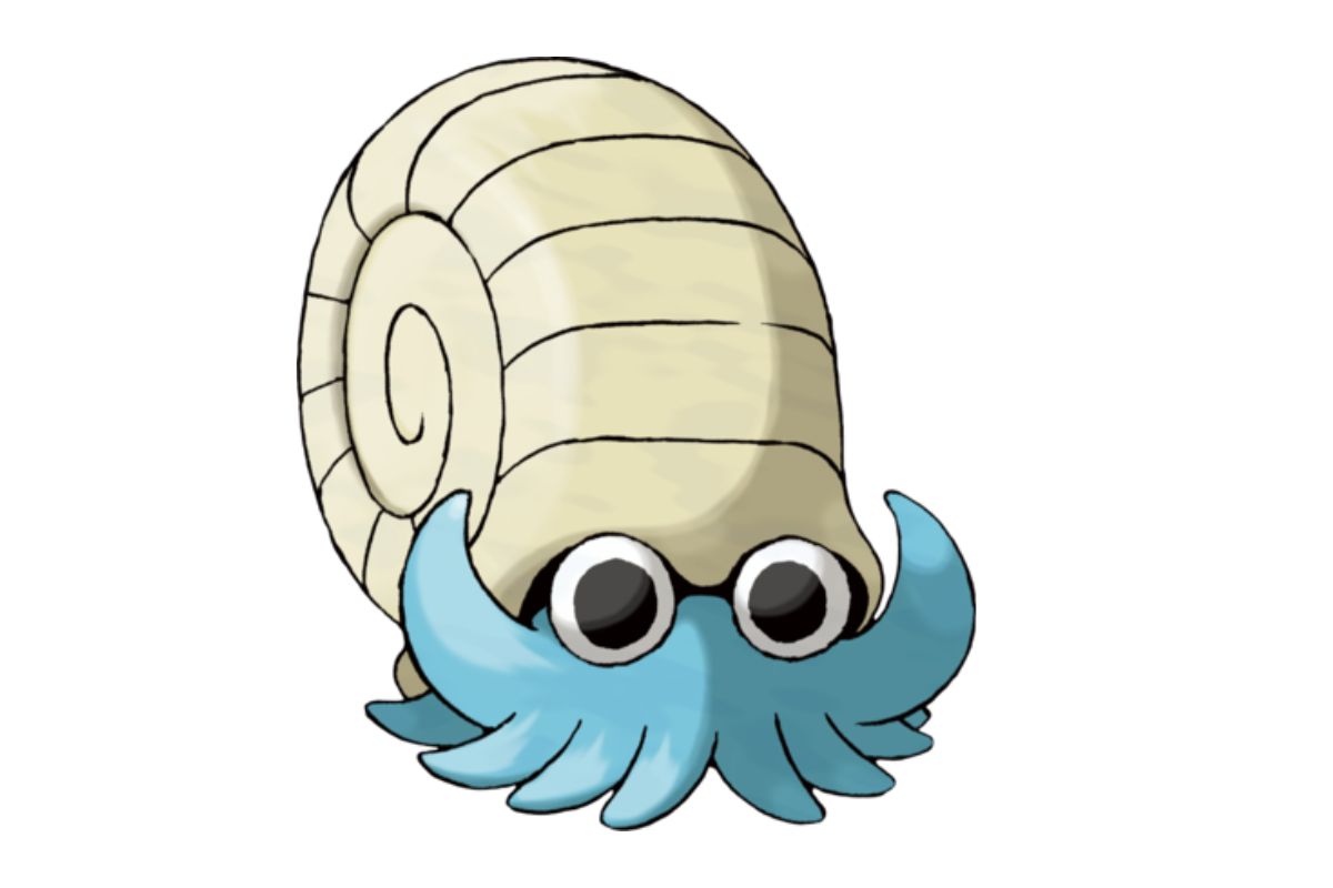 pokemon amonita