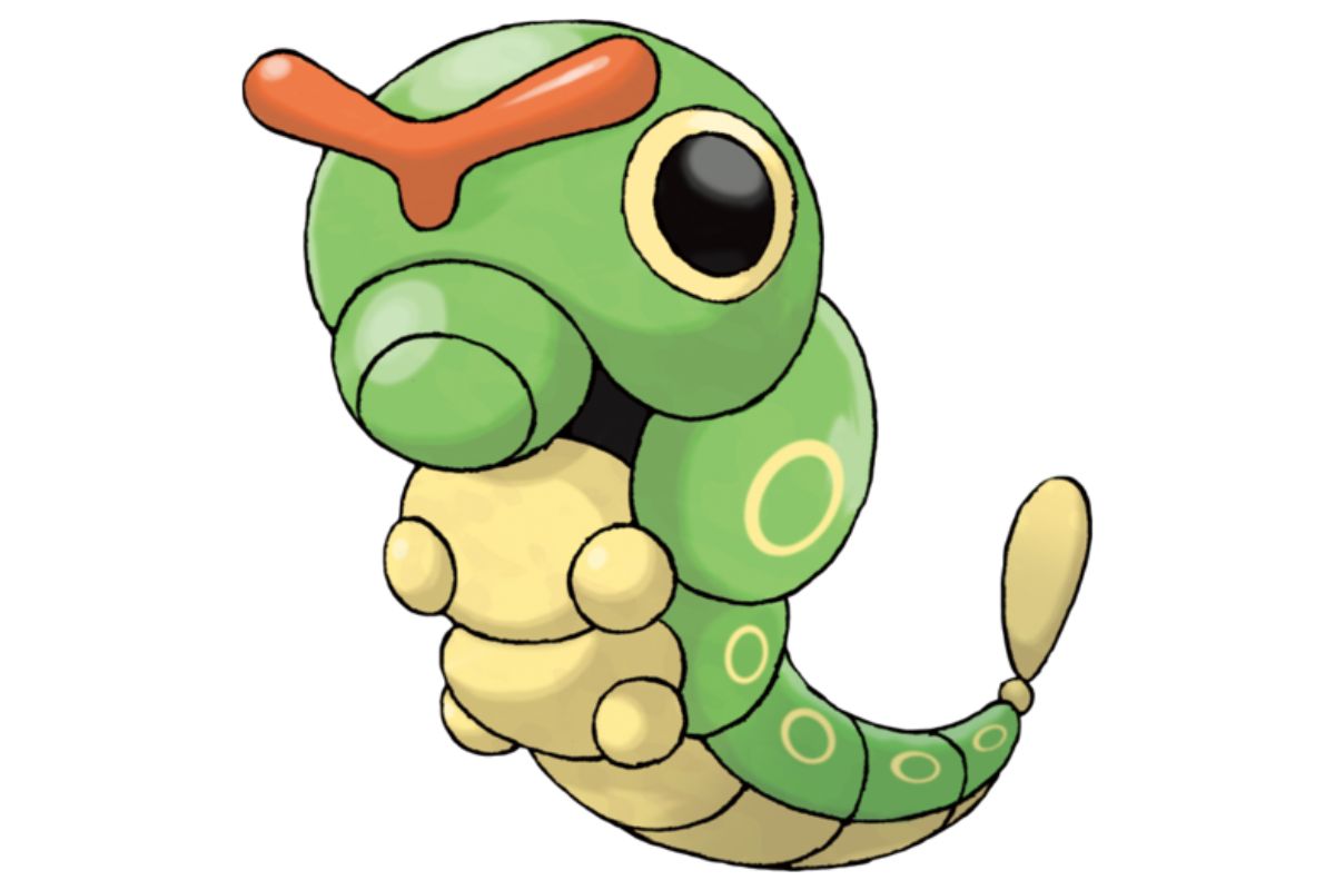 pokemon chenipan