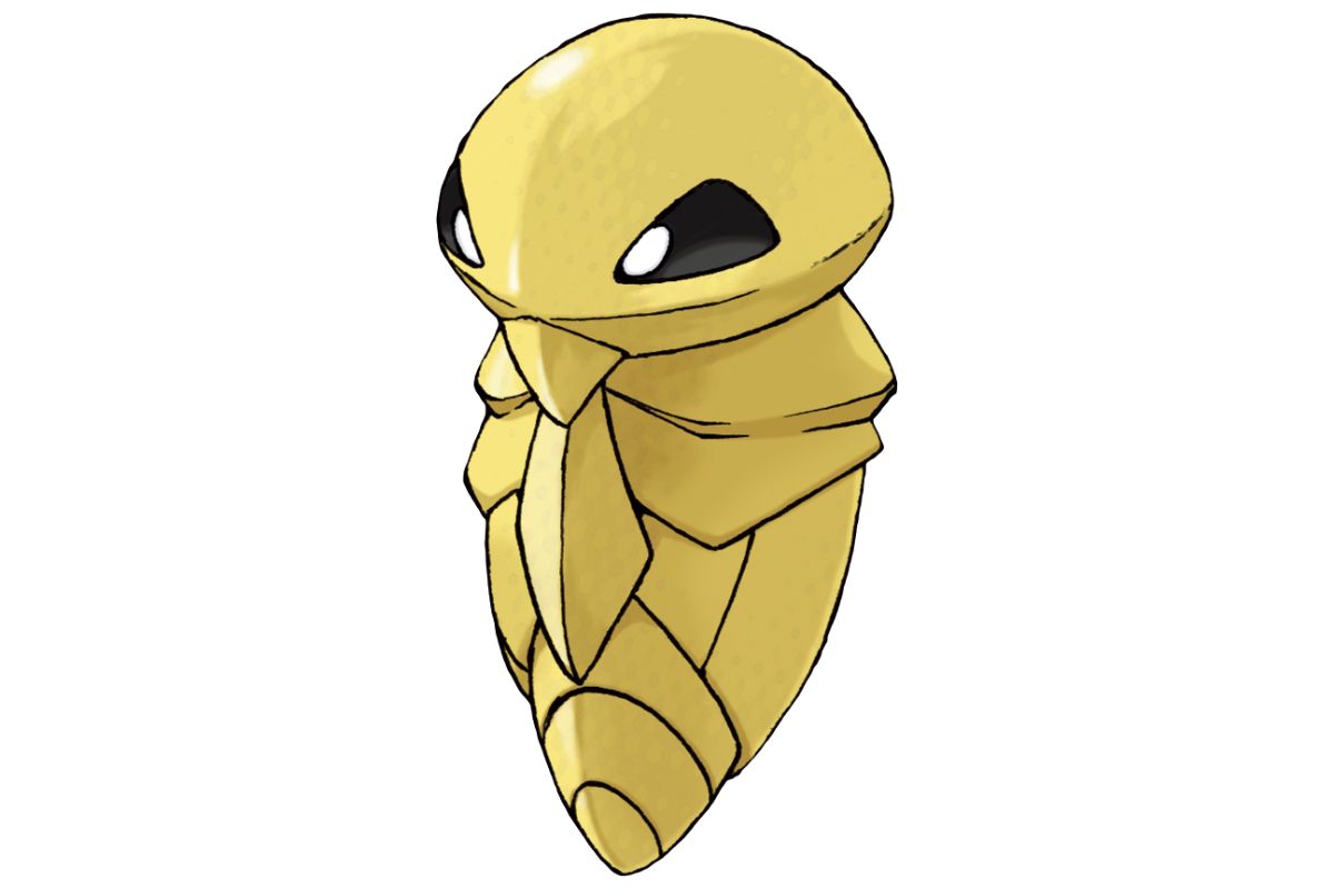 pokemon coconfort