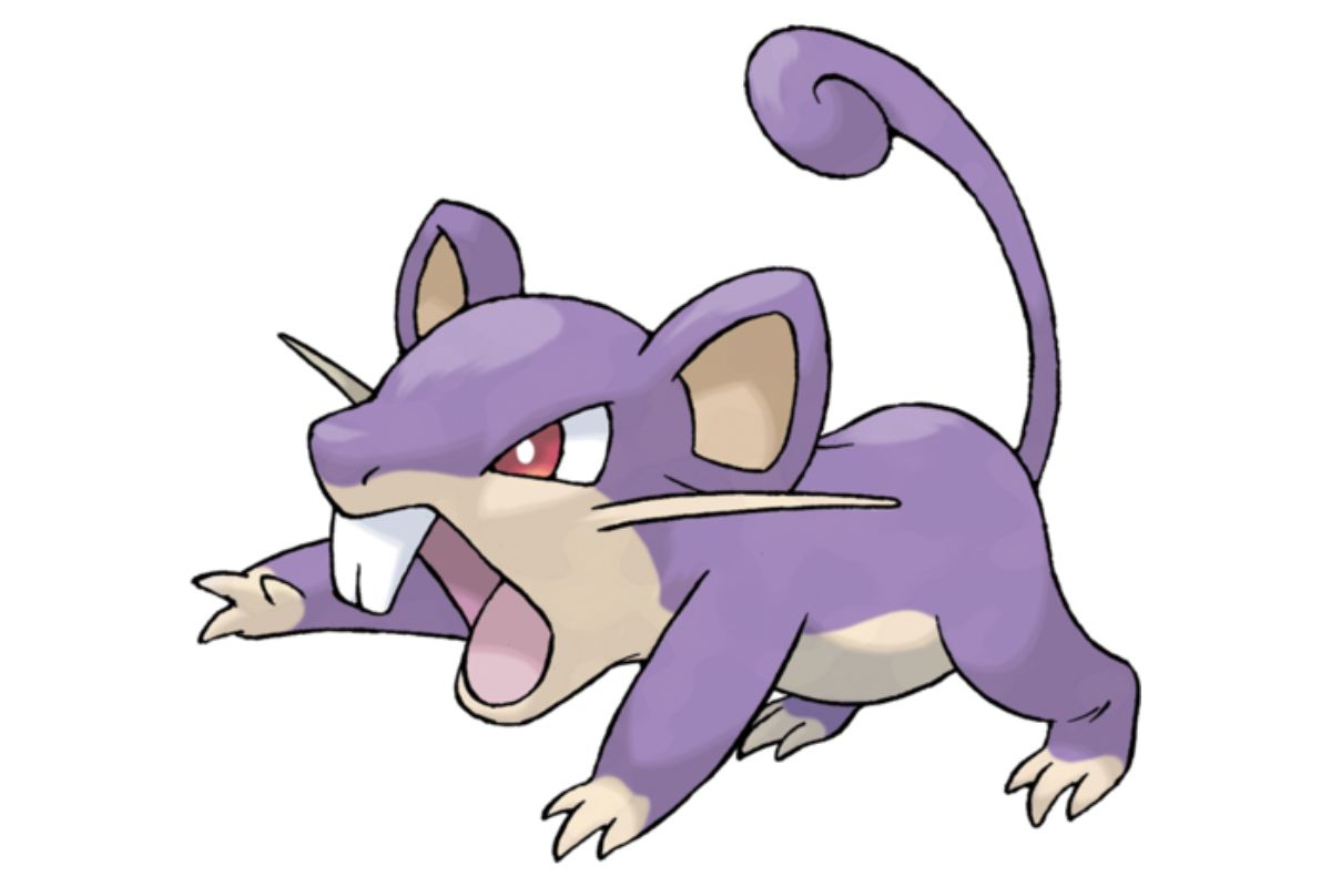 pokemon rattata