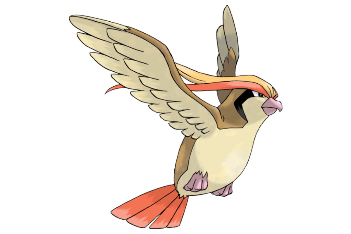 pokemon roucarnage