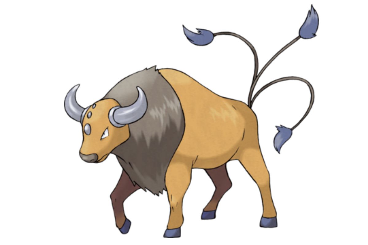 pokemon tauros