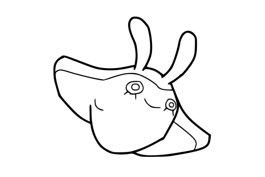 coloriage pokemon babimanta