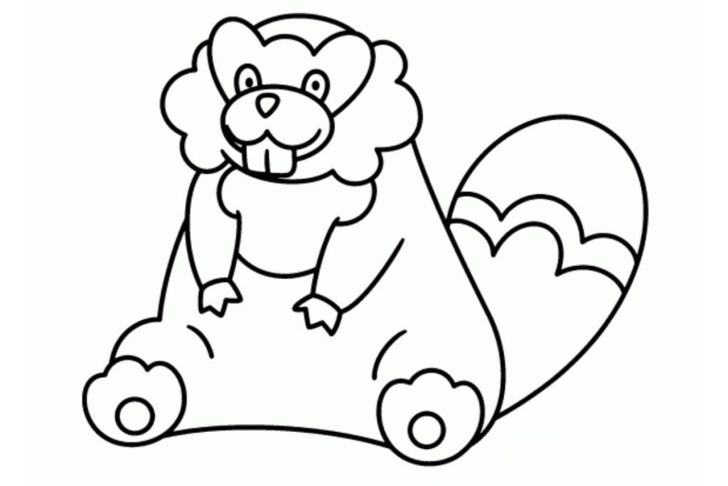 coloriage pokemon castorno