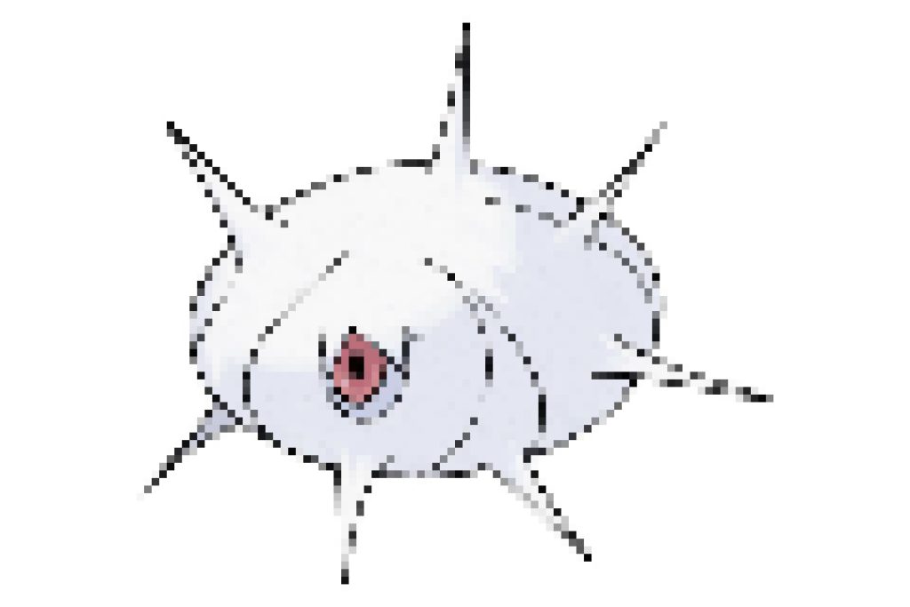 pixel art pokemon armulys
