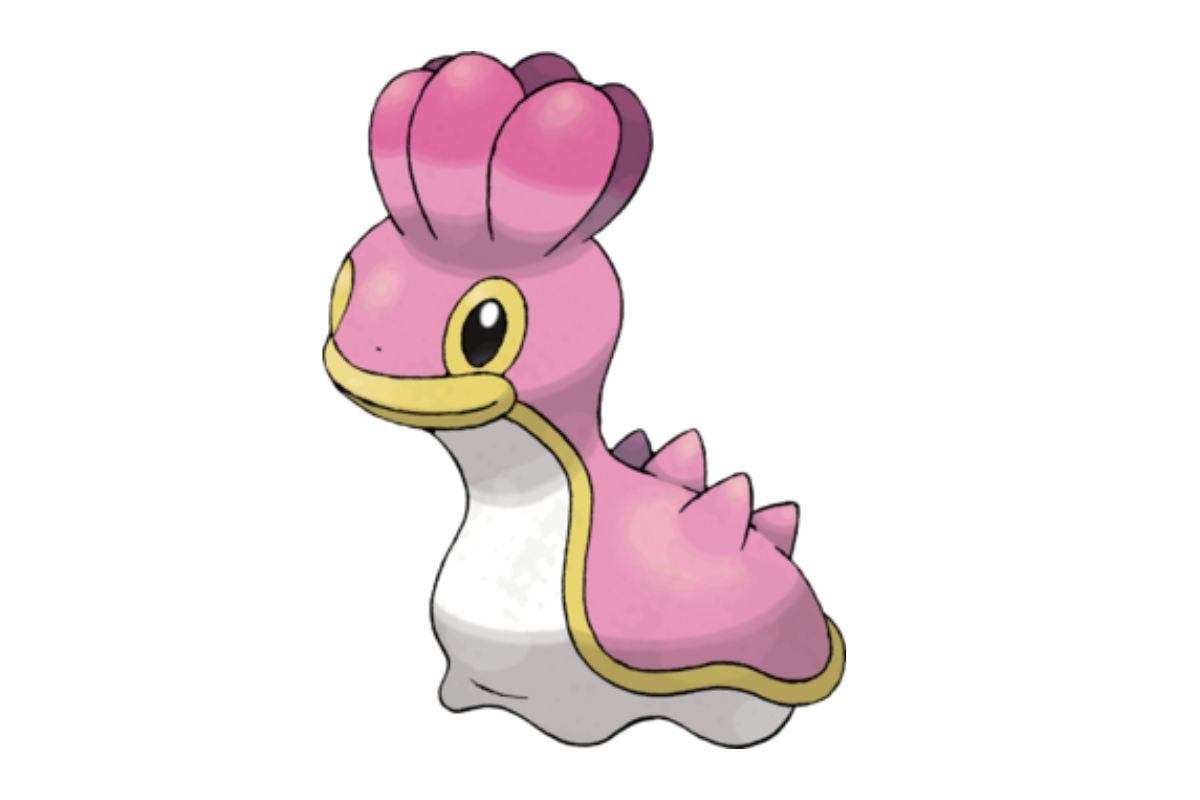 pokemon sancoki mer occident