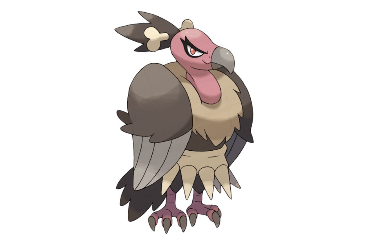 pokemon vaututrice