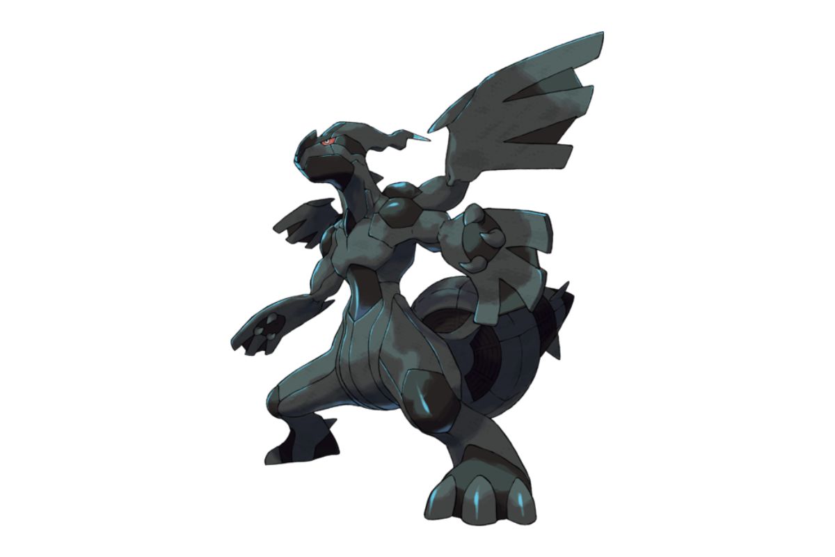 pokemon zekrom