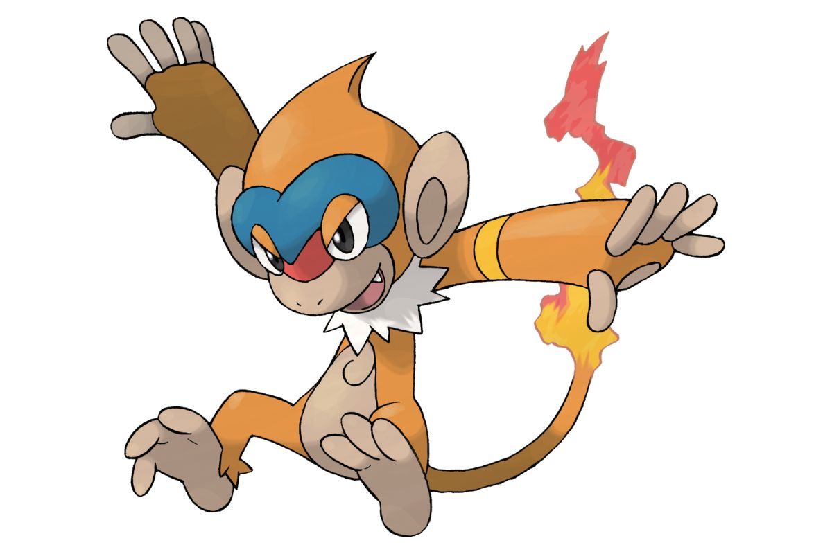 pokemon chimpenfeu