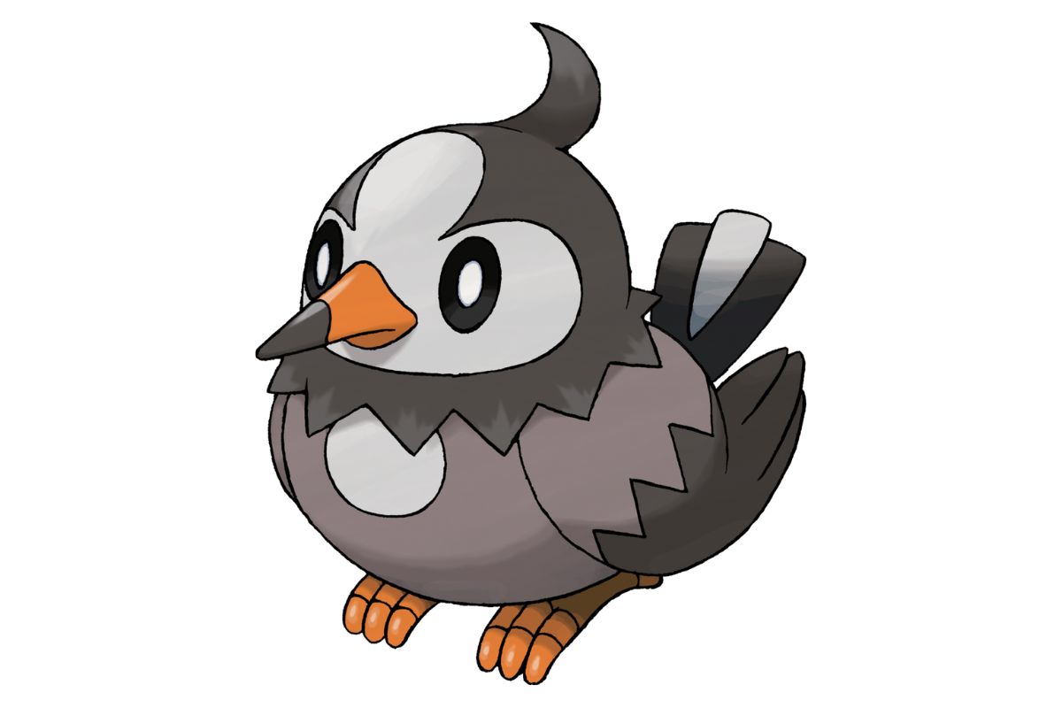 pokemon étourmi