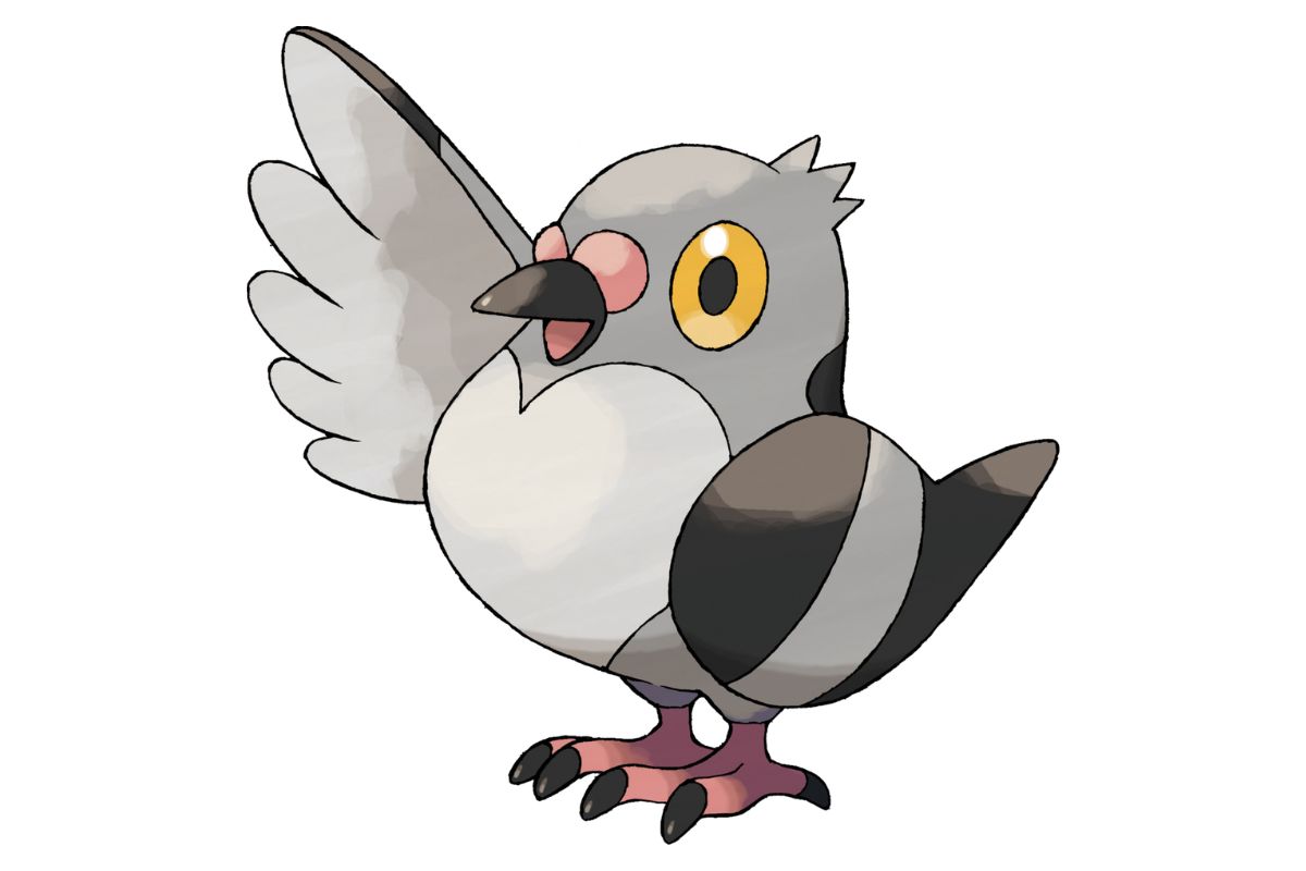 pokemon poichigeon