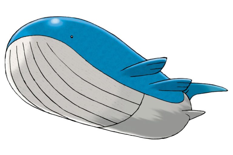 pokemon wailord