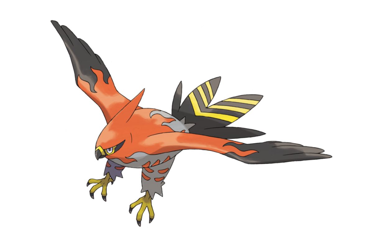 pokemon flambusard